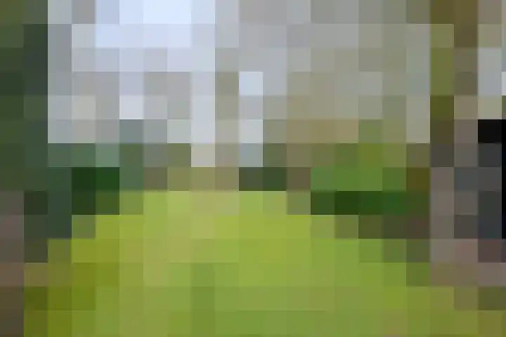 Oude Binnenweg 19 A Twello thumbnail 32