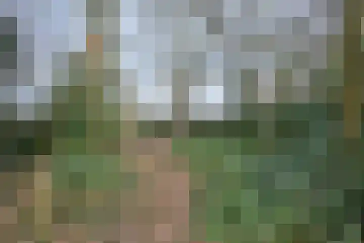 Oude Binnenweg 19 A Twello thumbnail 33