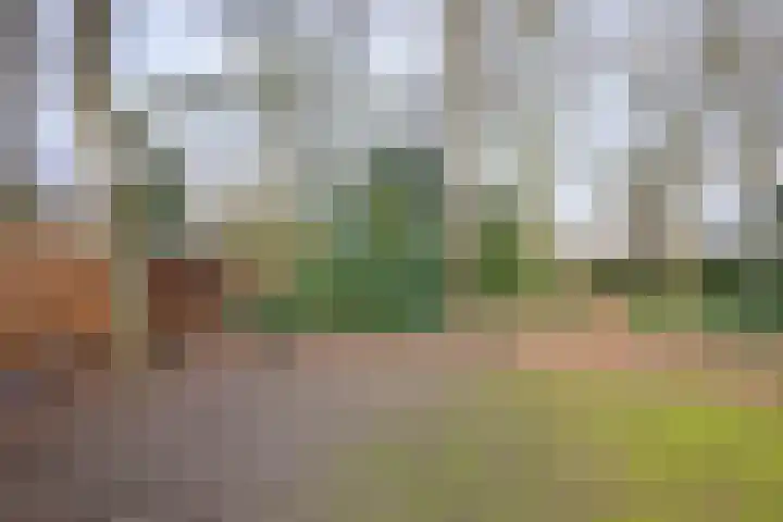 Oude Binnenweg 19 A Twello thumbnail 34
