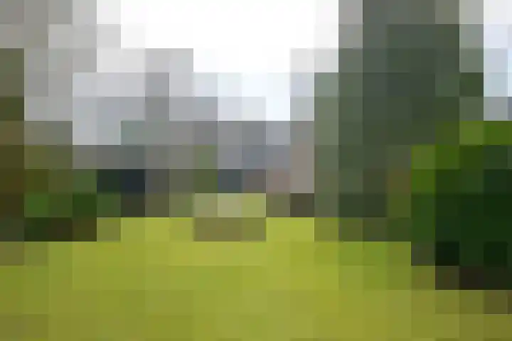Oude Binnenweg 19 A Twello thumbnail 35