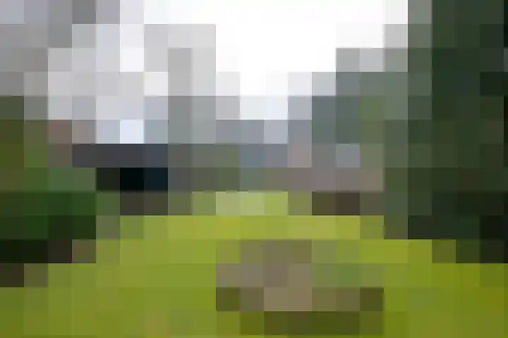 Oude Binnenweg 19 A Twello thumbnail 36