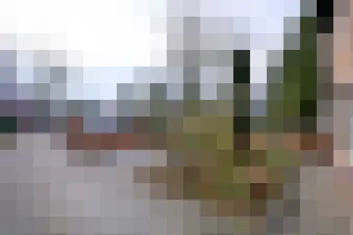Oude Binnenweg 19 A Twello thumbnail 40