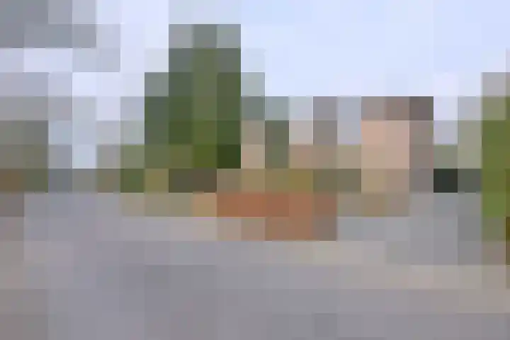 Oude Binnenweg 19 A Twello thumbnail 41