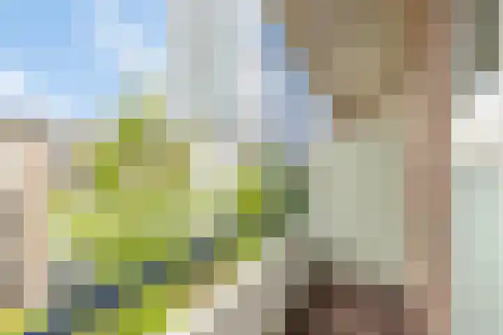 Oude Binnenweg 46 B Rotterdam thumbnail 17