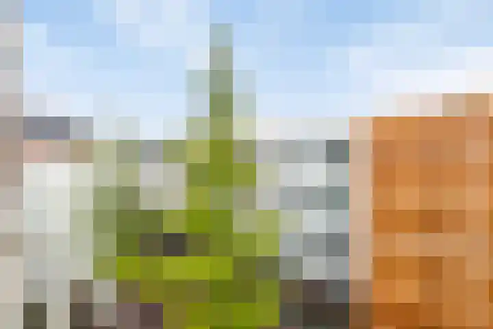 Oude Binnenweg 46 B Rotterdam thumbnail 19