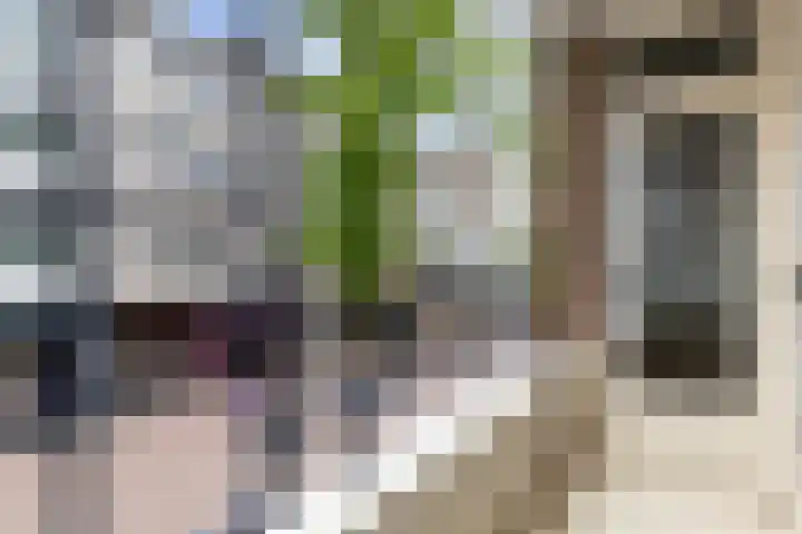 Oude Binnenweg 48 C Rotterdam thumbnail 16