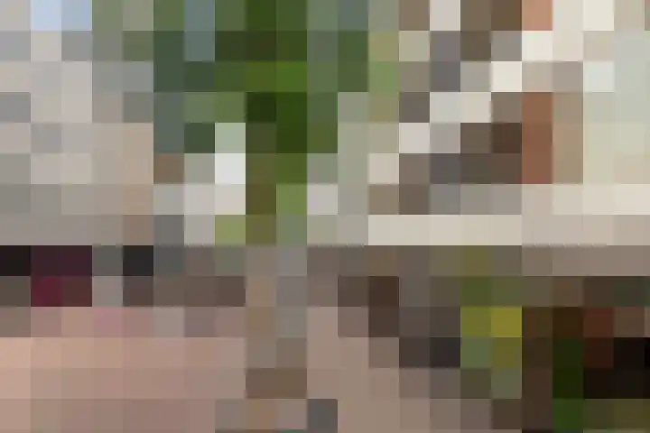 Oude Binnenweg 48 C Rotterdam thumbnail 38