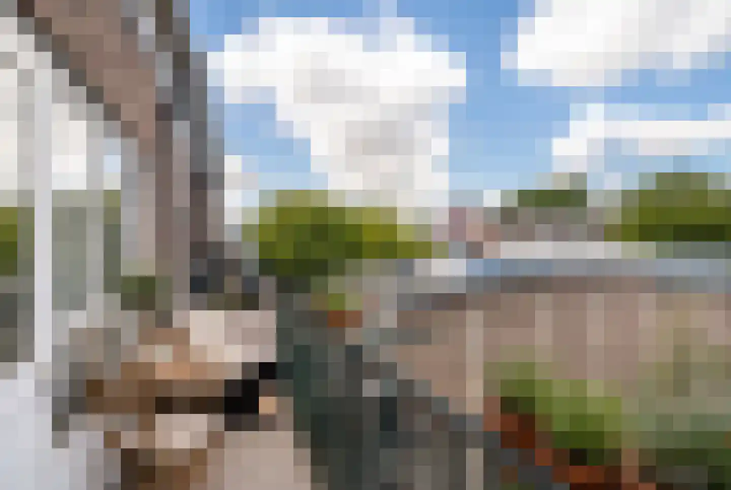 Oude Binnenweg 53 D Rotterdam thumbnail 21