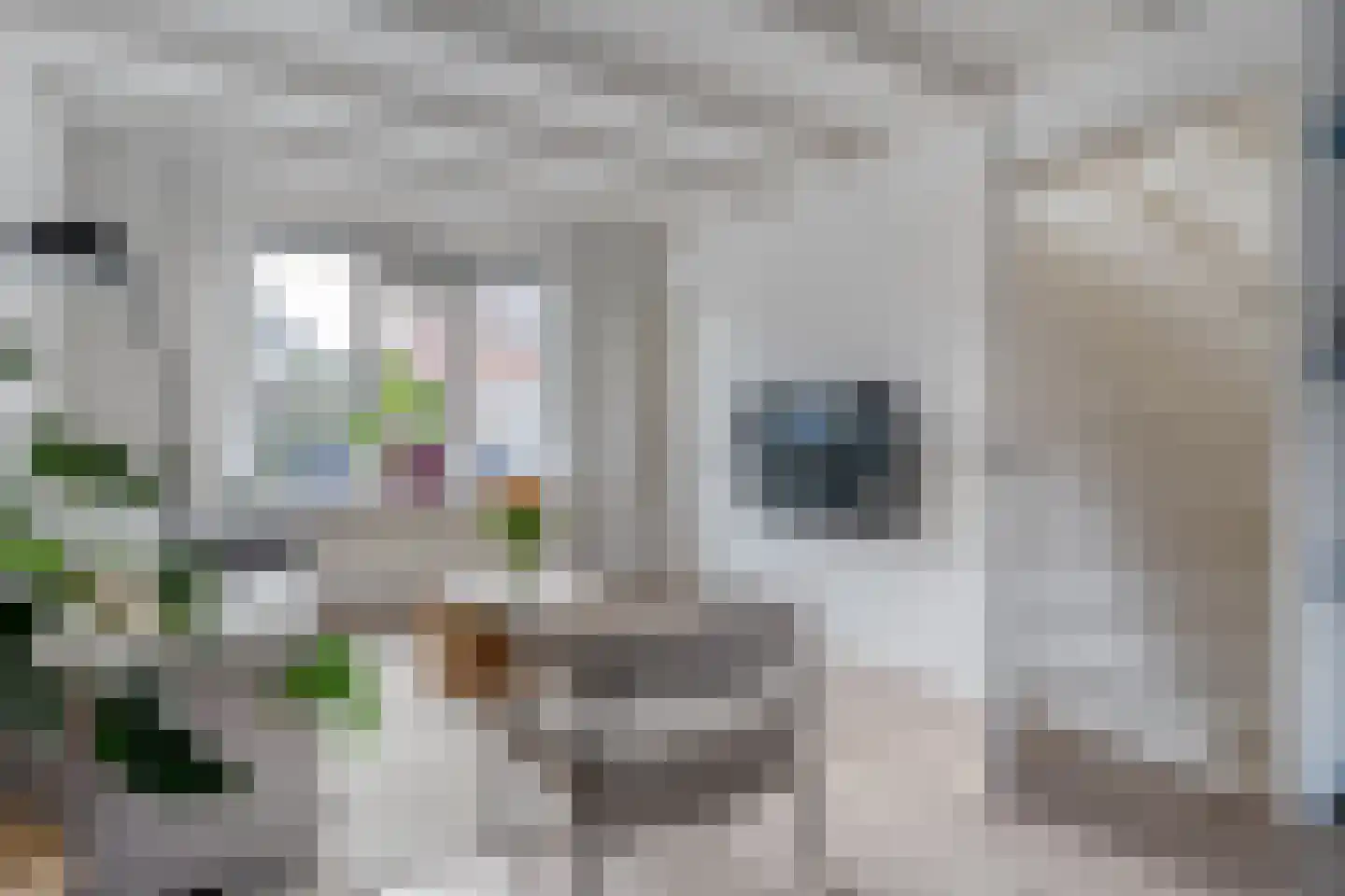 Oude Boazstraat 35 Meppel thumbnail 22