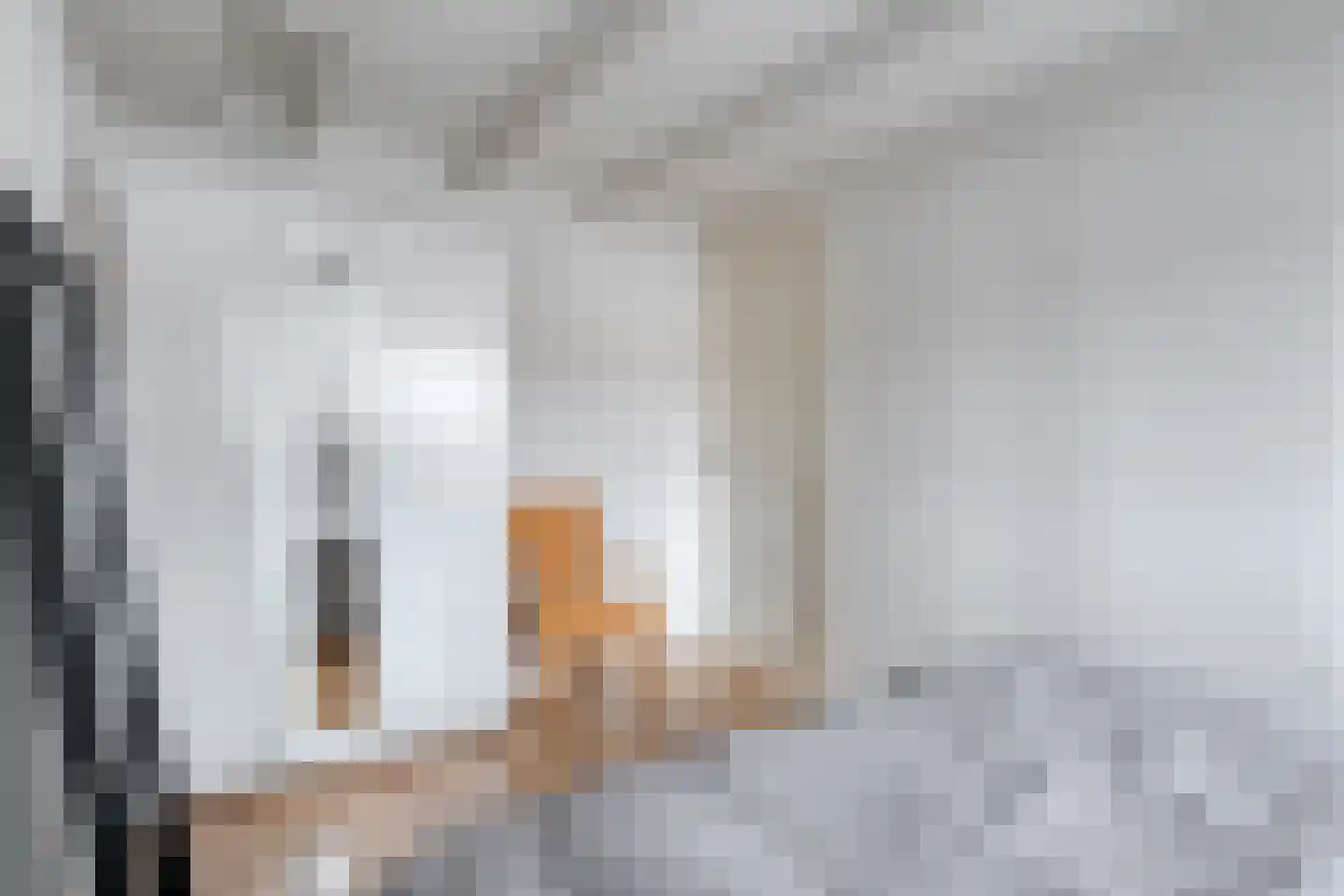 Oude Boazstraat 35 Meppel thumbnail 25