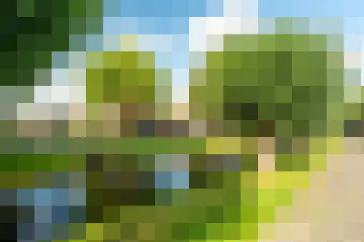 Oude Bocht 18 Bunschoten-Spakenburg thumbnail 38