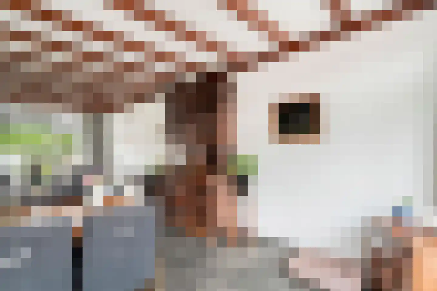 Oude Bocht 29 Bunschoten-Spakenburg thumbnail 13