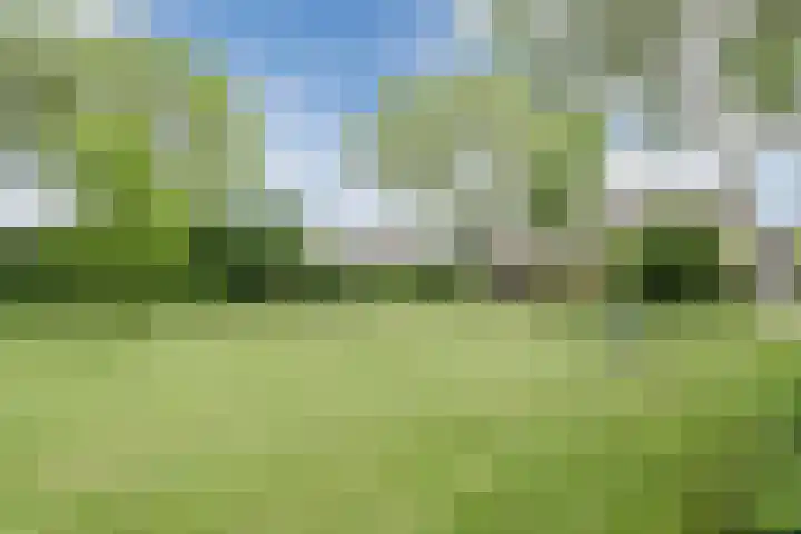 Oude Bocht 55 Bunschoten-Spakenburg thumbnail 45