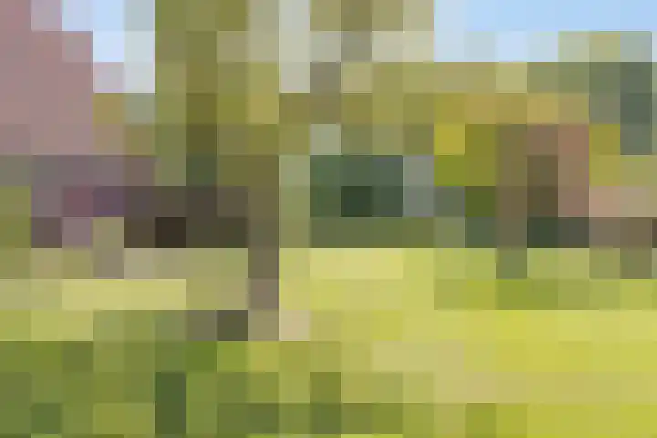 Oude Boekeloseweg 105 Haaksbergen thumbnail 5