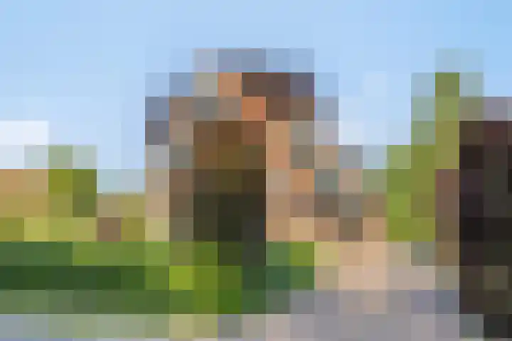 Oude Boekeloseweg 105 Haaksbergen thumbnail 6