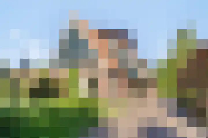 Oude Boekeloseweg 105 Haaksbergen thumbnail 62