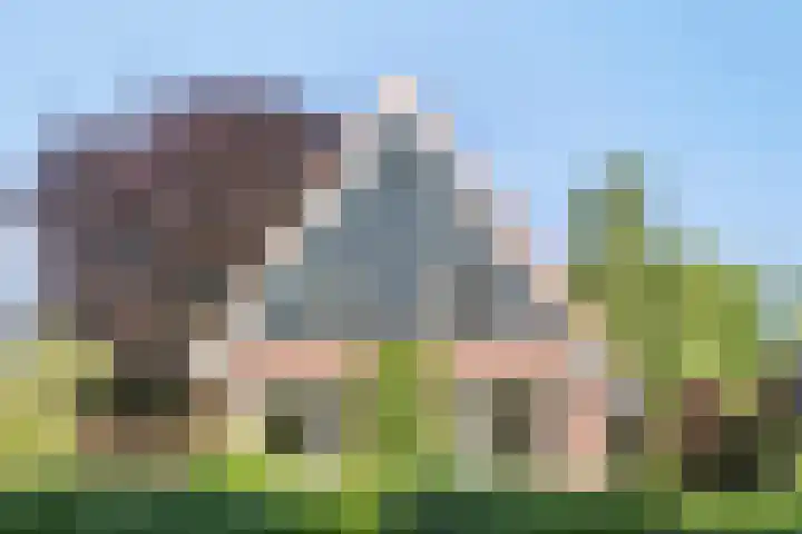 Oude Boekeloseweg 105 Haaksbergen thumbnail 7