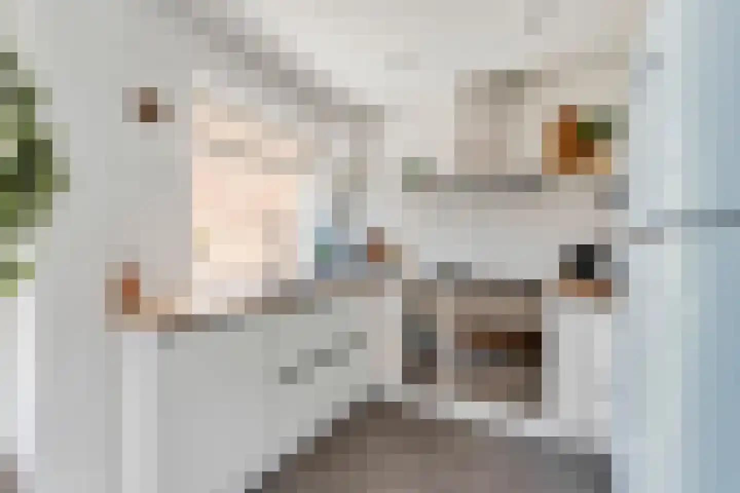 Oude Bogerd 13 Breda thumbnail 21