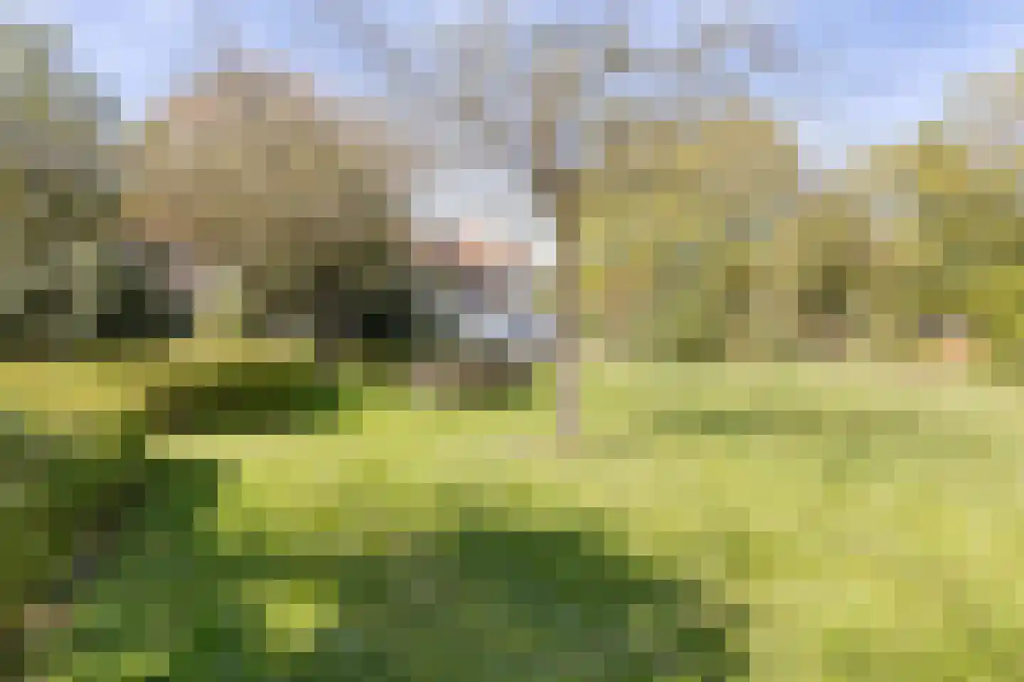 Oude Bogerd 34 Breda foto 3