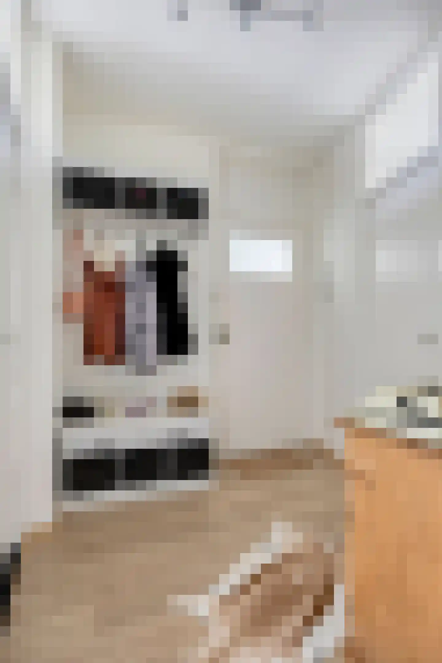 Oude Bogerd 36 C Breda thumbnail 13