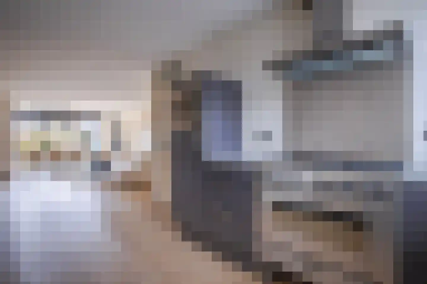 Oude Bongerd 20 Arnhem thumbnail 11