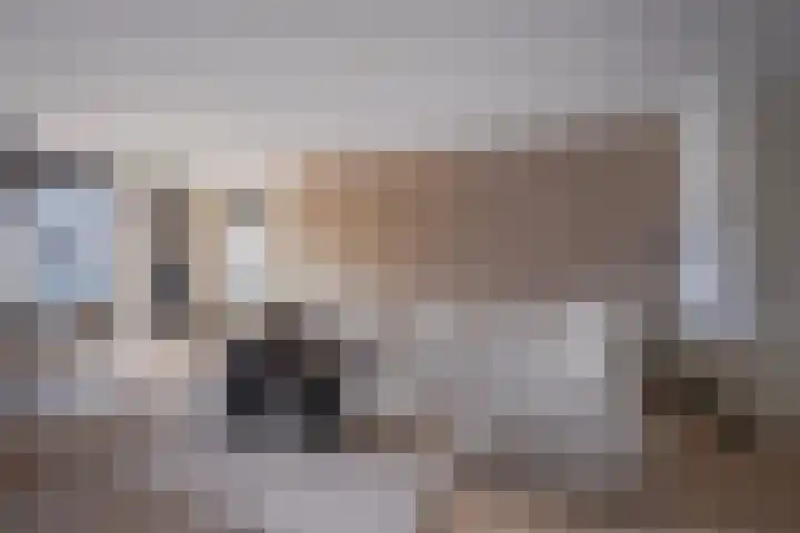 Oude Bongerd 20 Arnhem thumbnail 15