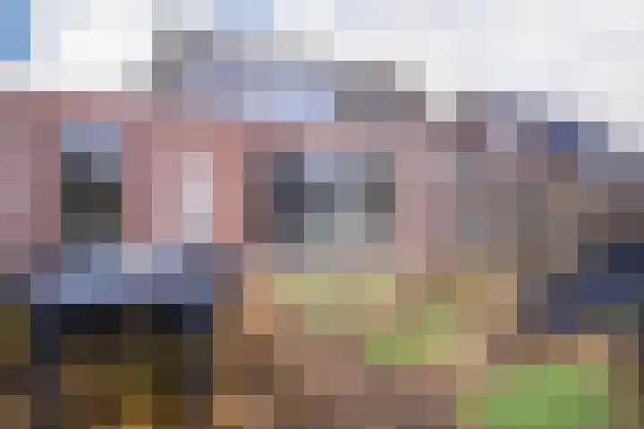 Oude Bongerd 20 Arnhem foto 2