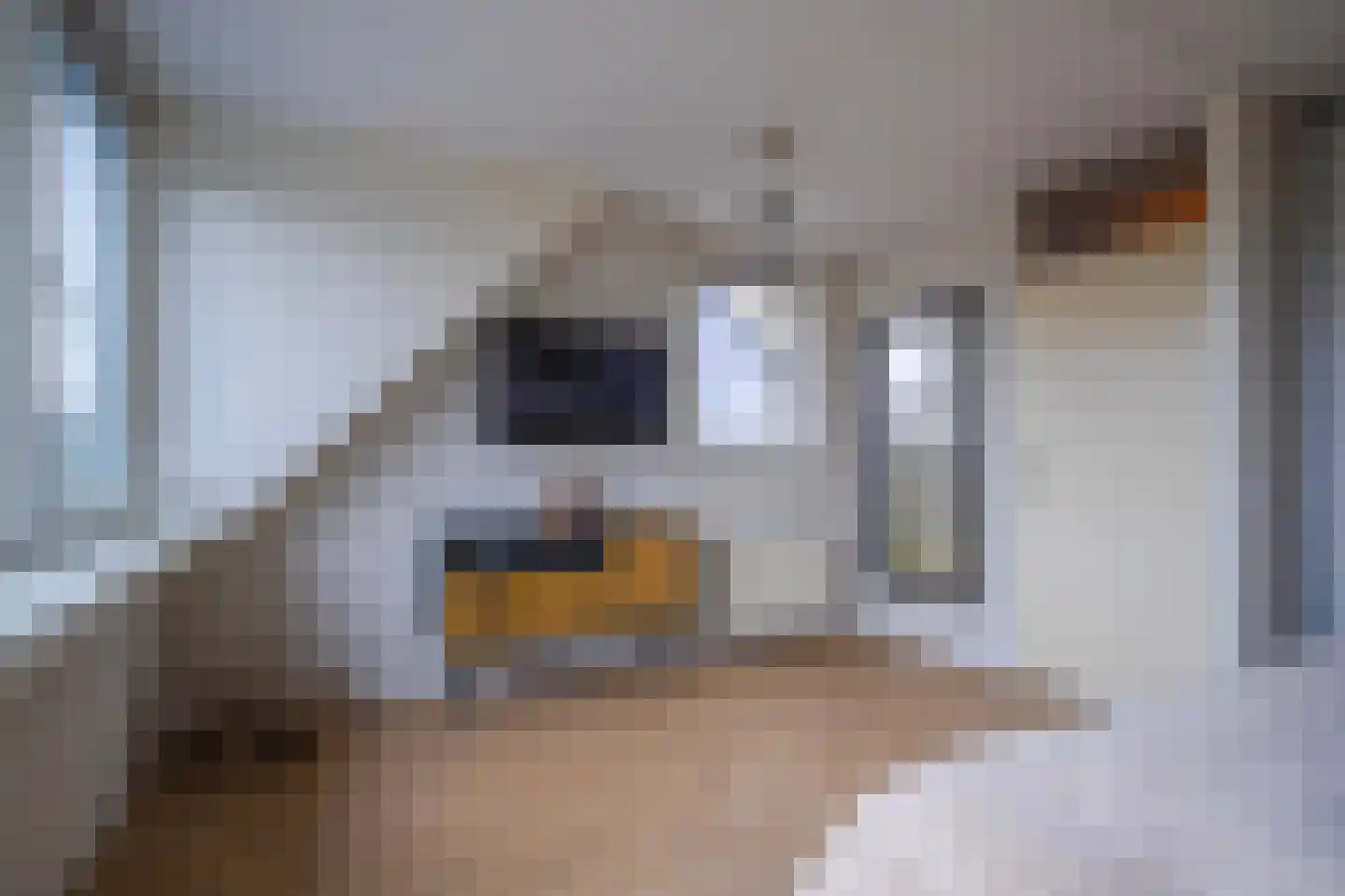 Oude Bongerd 20 Arnhem thumbnail 27