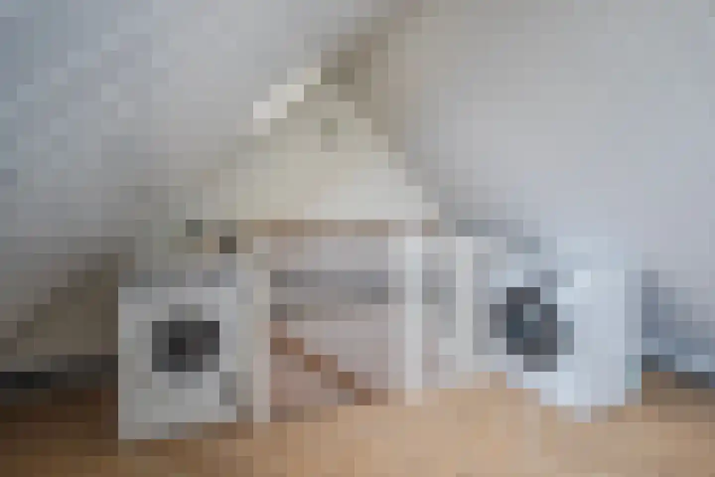 Oude Bongerd 20 Arnhem thumbnail 33