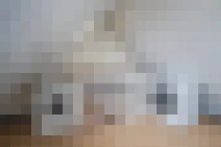Oude Bongerd 20 Arnhem thumbnail 33