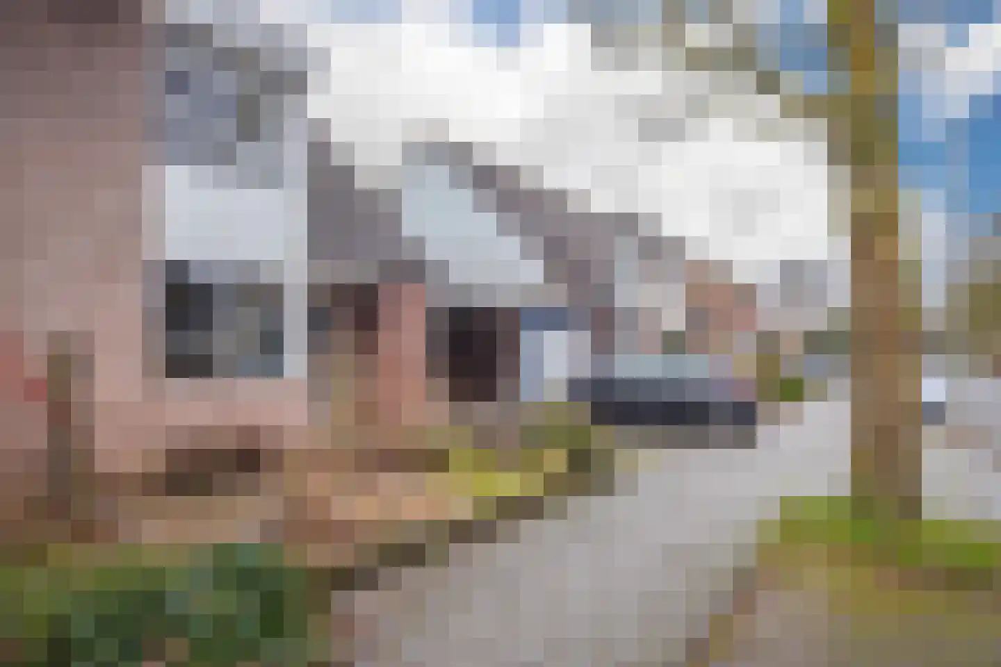 Oude Bongerd 20 Arnhem thumbnail 34