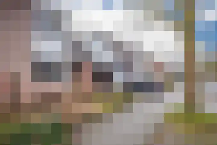 Oude Bongerd 20 Arnhem thumbnail 34