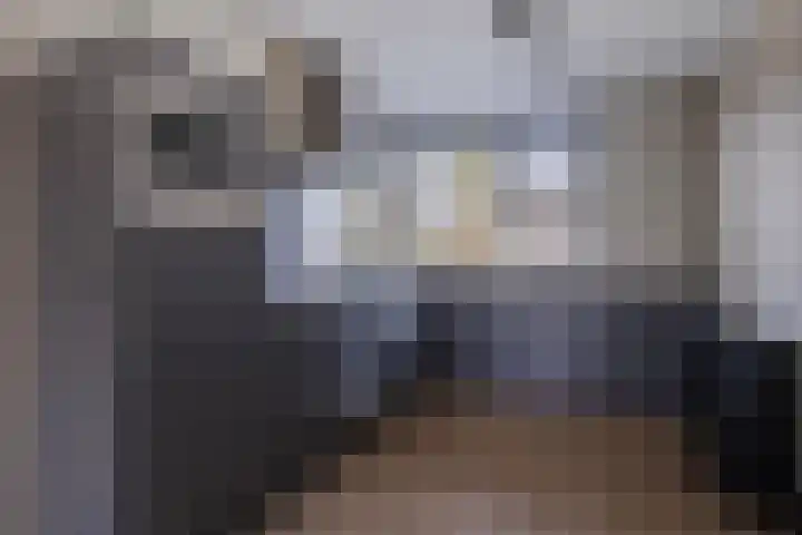 Oude Bongerd 20 Arnhem thumbnail 4