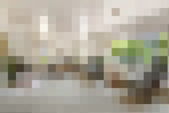 Oude Bongerd 20 Arnhem thumbnail 44
