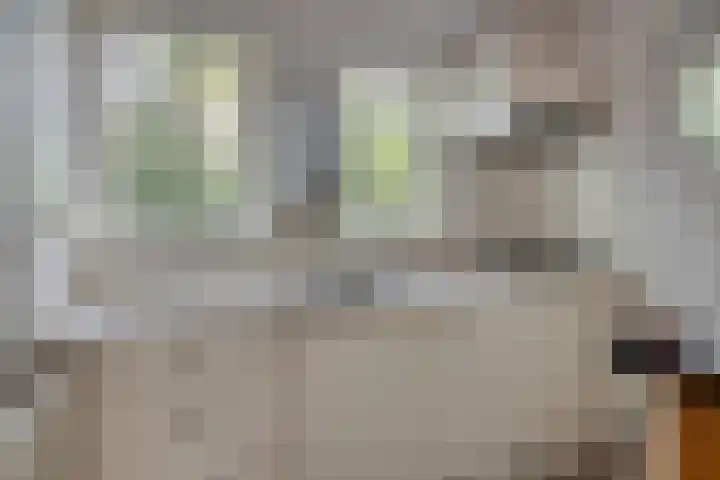 Oude Bongerd 20 Arnhem thumbnail 6