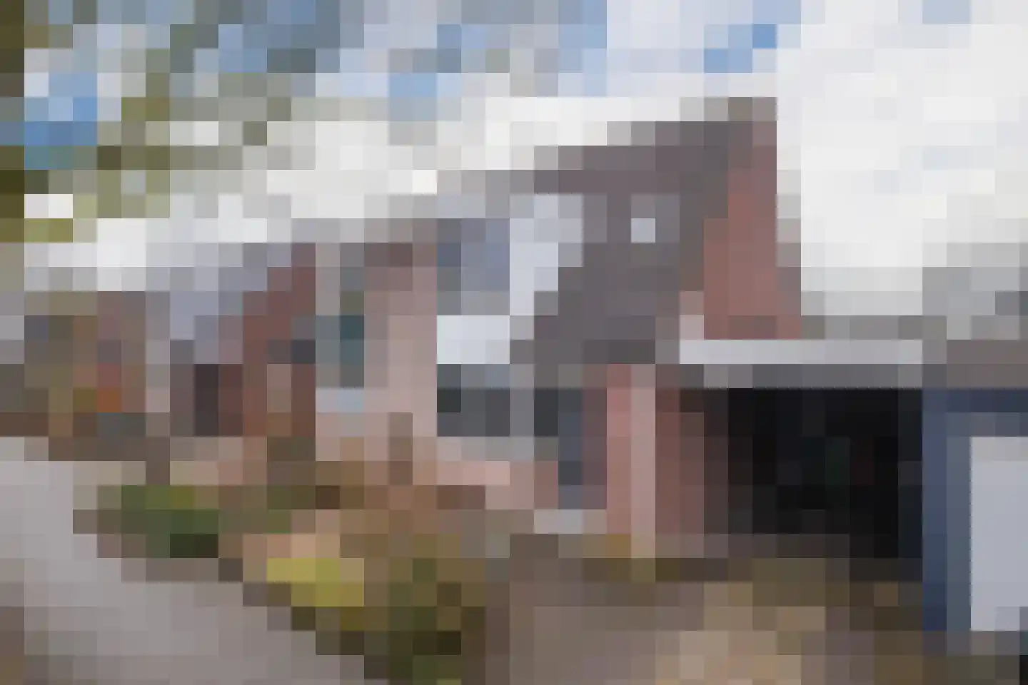 Oude Bongerd 20 Arnhem thumbnail 6