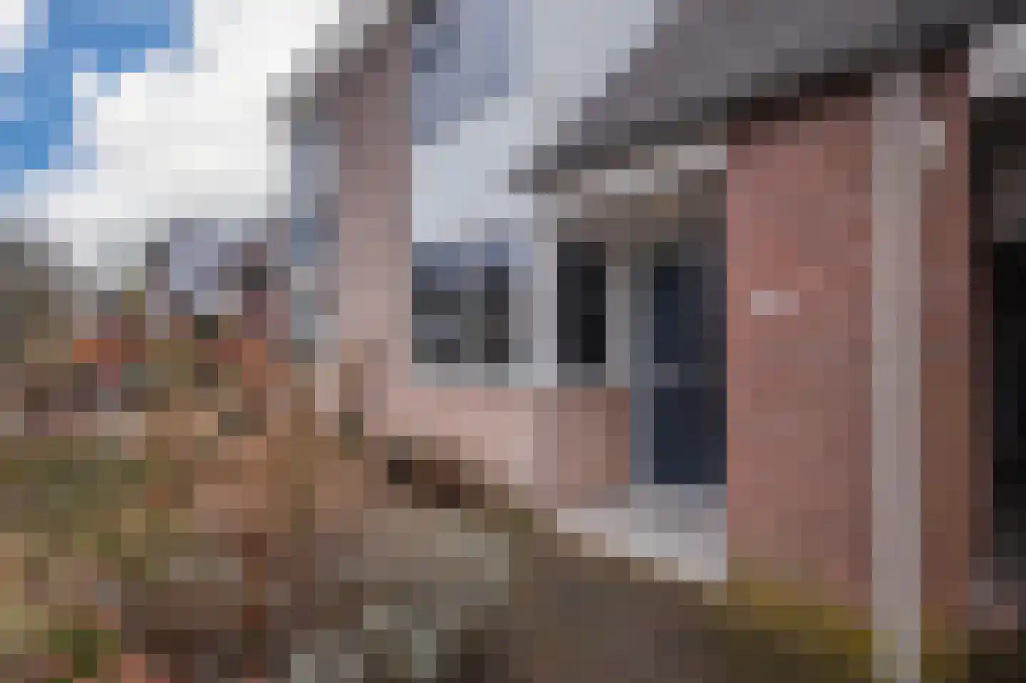 Oude Bongerd 20 Arnhem thumbnail 7