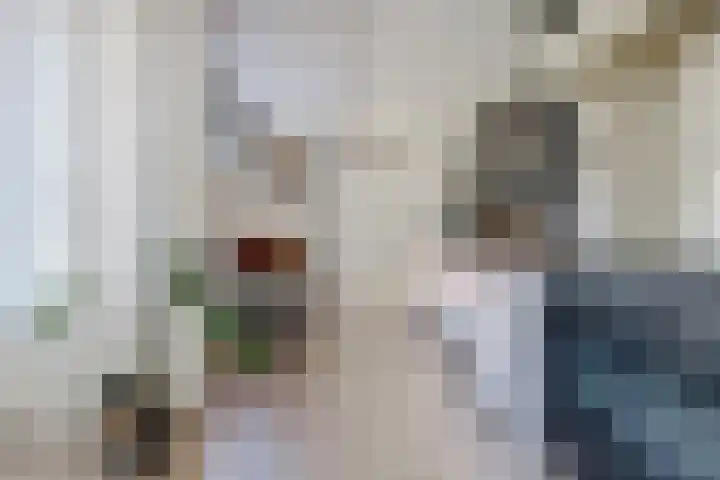 Oude Boogaert 3 Yerseke thumbnail 16