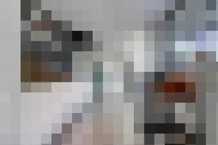 Oude Boogaert 3 Yerseke thumbnail 18