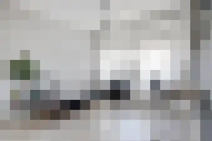Oude Boogaert 3 Yerseke thumbnail 24