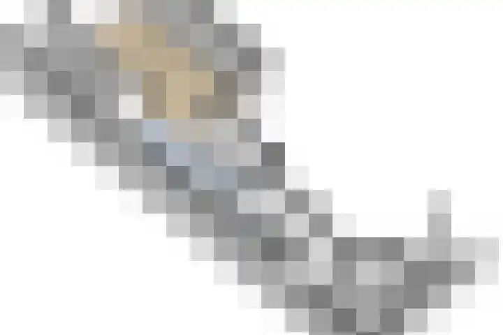 Oude Boogaert 3 Yerseke thumbnail 43
