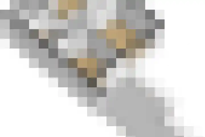 Oude Boogaert 3 Yerseke thumbnail 44