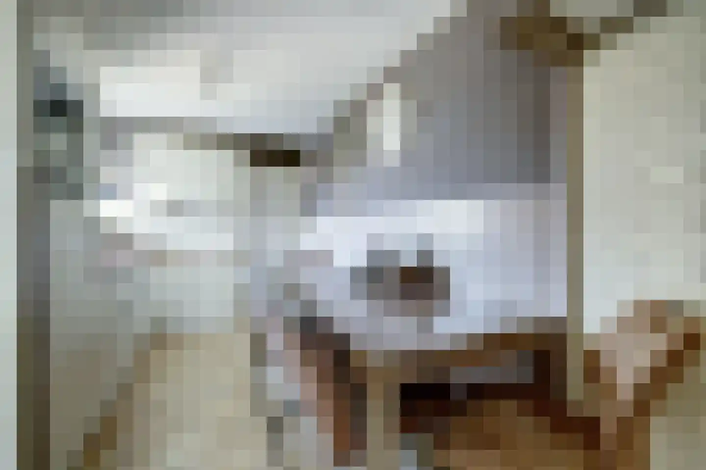 Oude Boogaert 31 Yerseke thumbnail 11