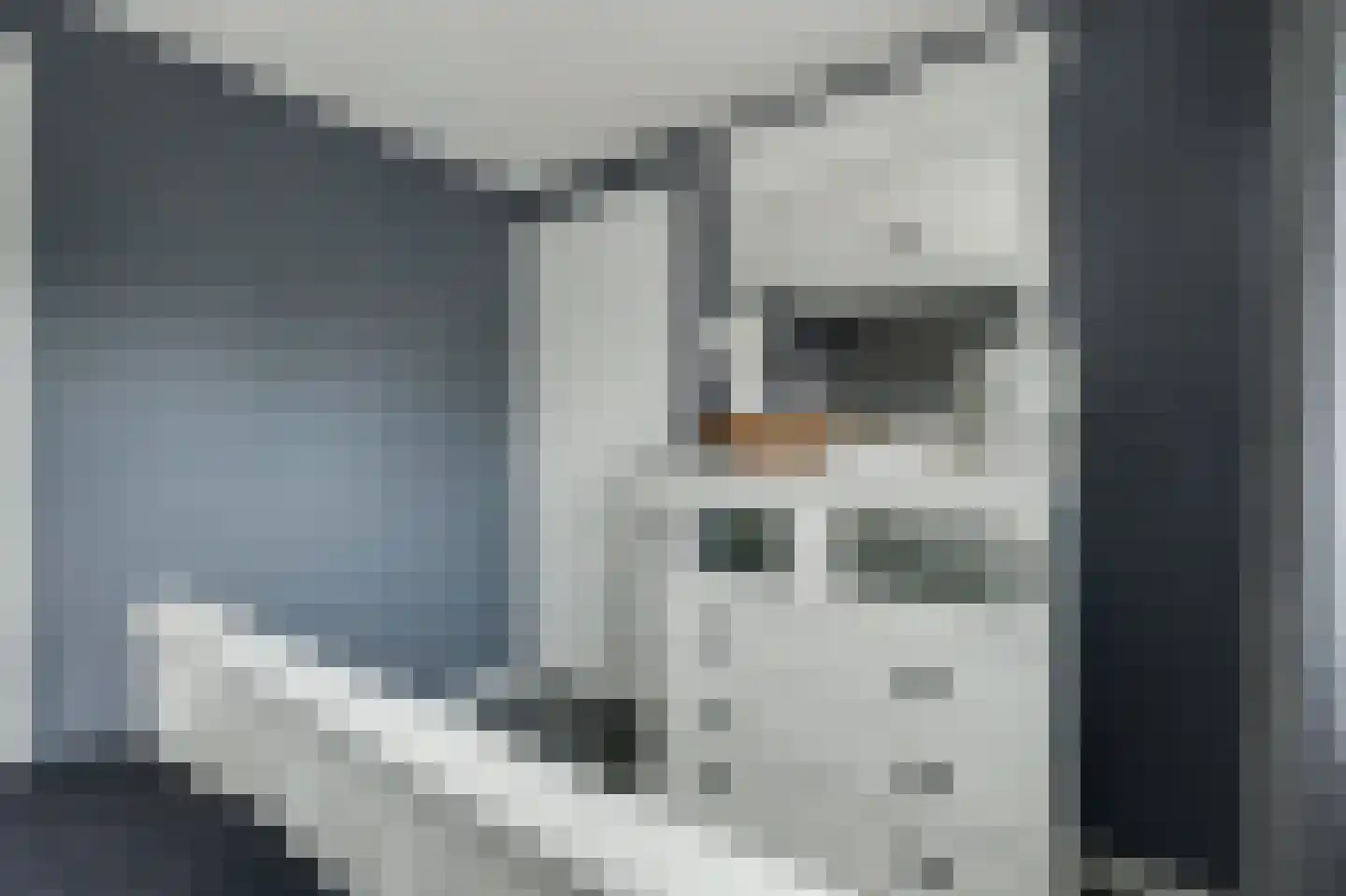 Oude Boogaert 31 Yerseke thumbnail 14