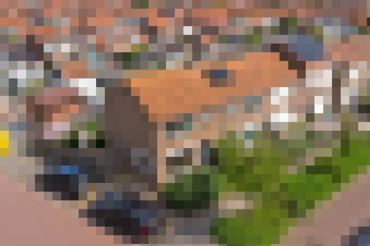 Oude Boogaert 31 Yerseke thumbnail 27