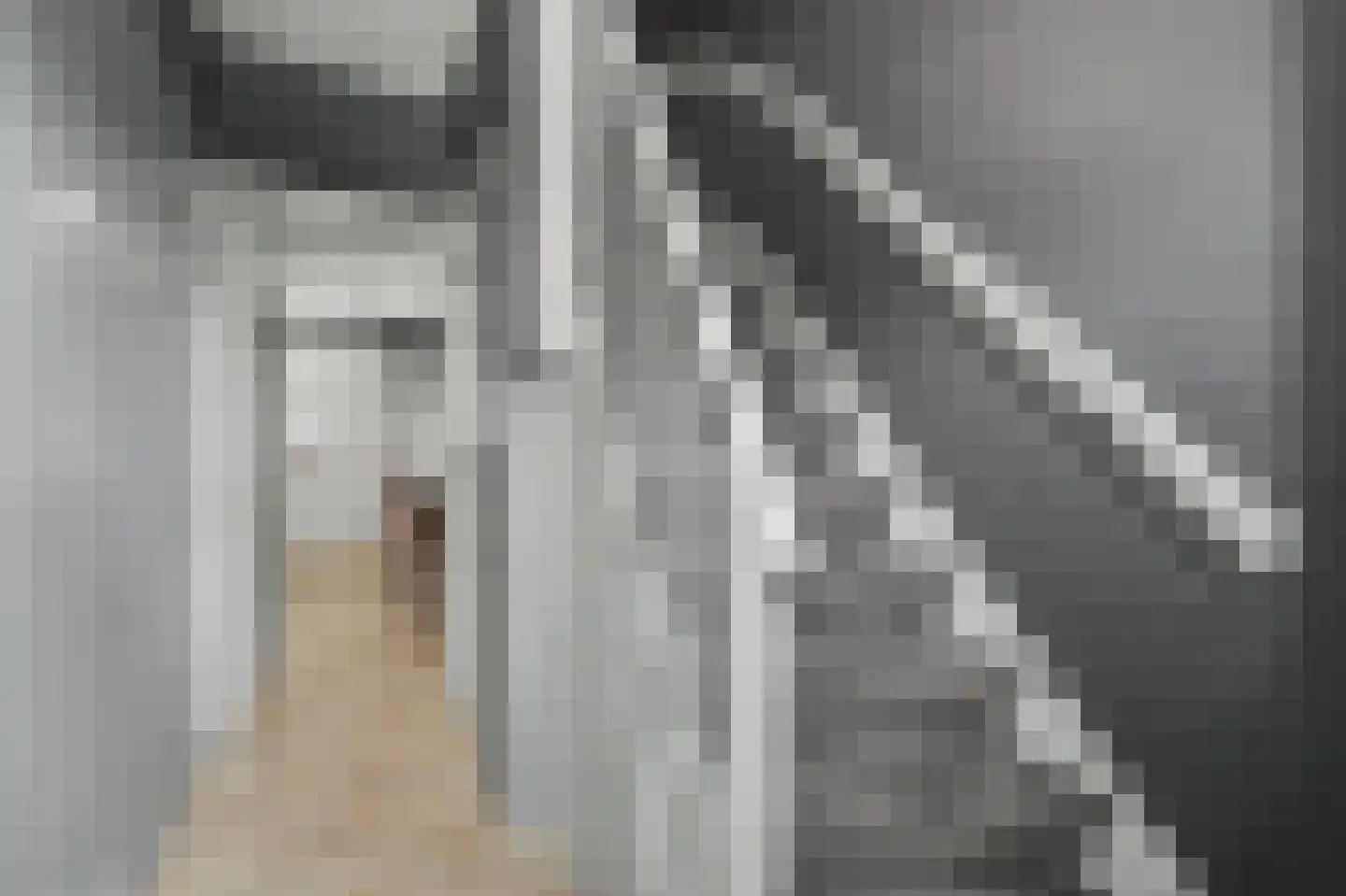 Oude Boogaert 31 Yerseke thumbnail 5