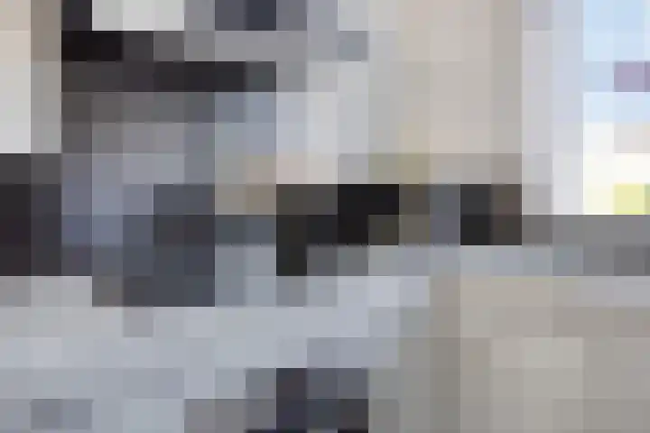 Oude Boogaert 51 Yerseke thumbnail 11