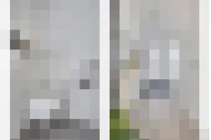 Oude Boogaert 51 Yerseke thumbnail 12
