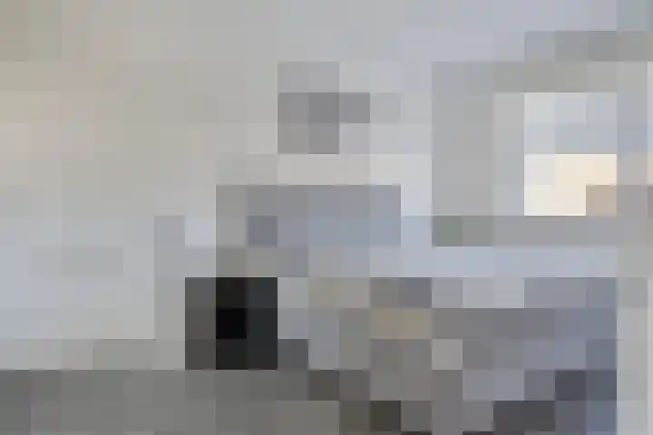 Oude Boogaert 51 Yerseke thumbnail 14