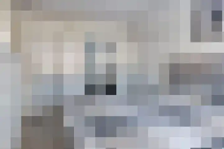Oude Boogaert 51 Yerseke thumbnail 15